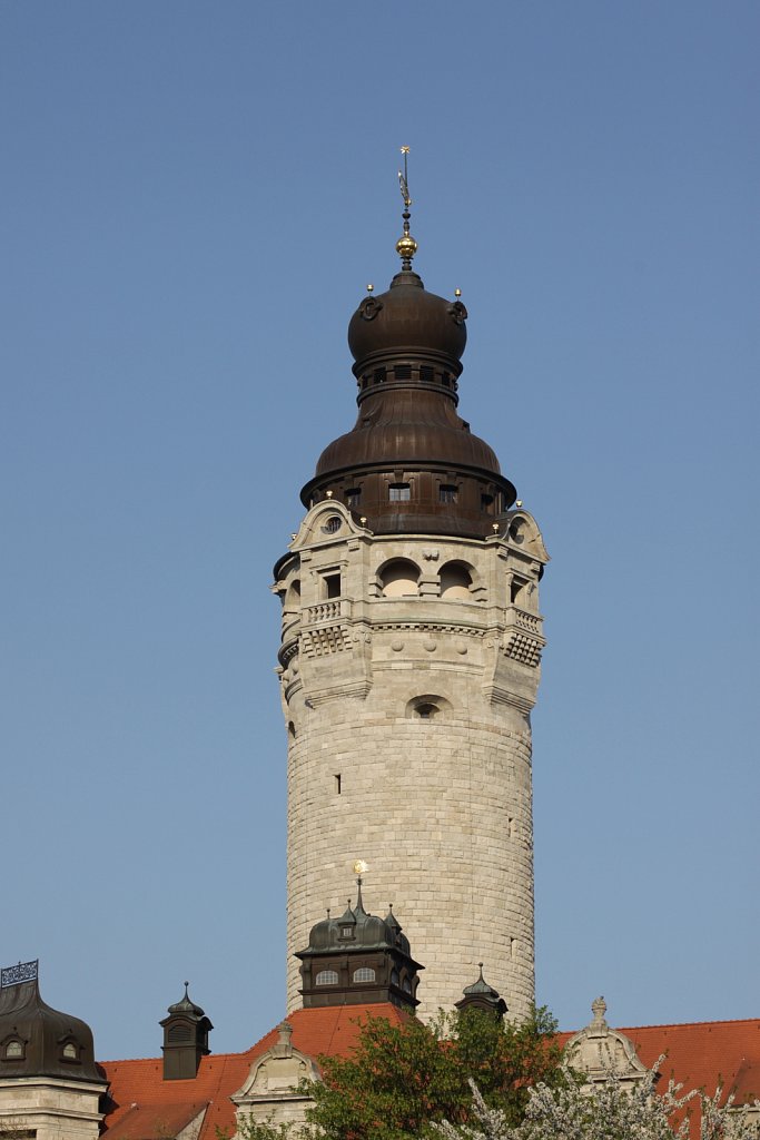 IMG-1818.jpg