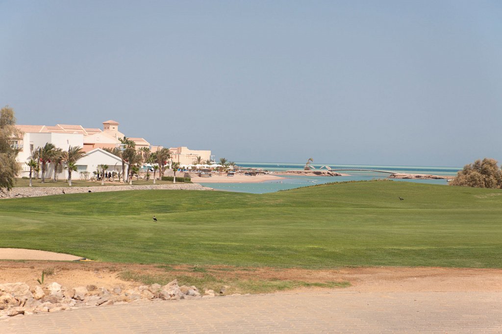 IMG-0090.jpg