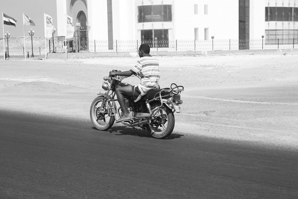 IMG-9788.JPG