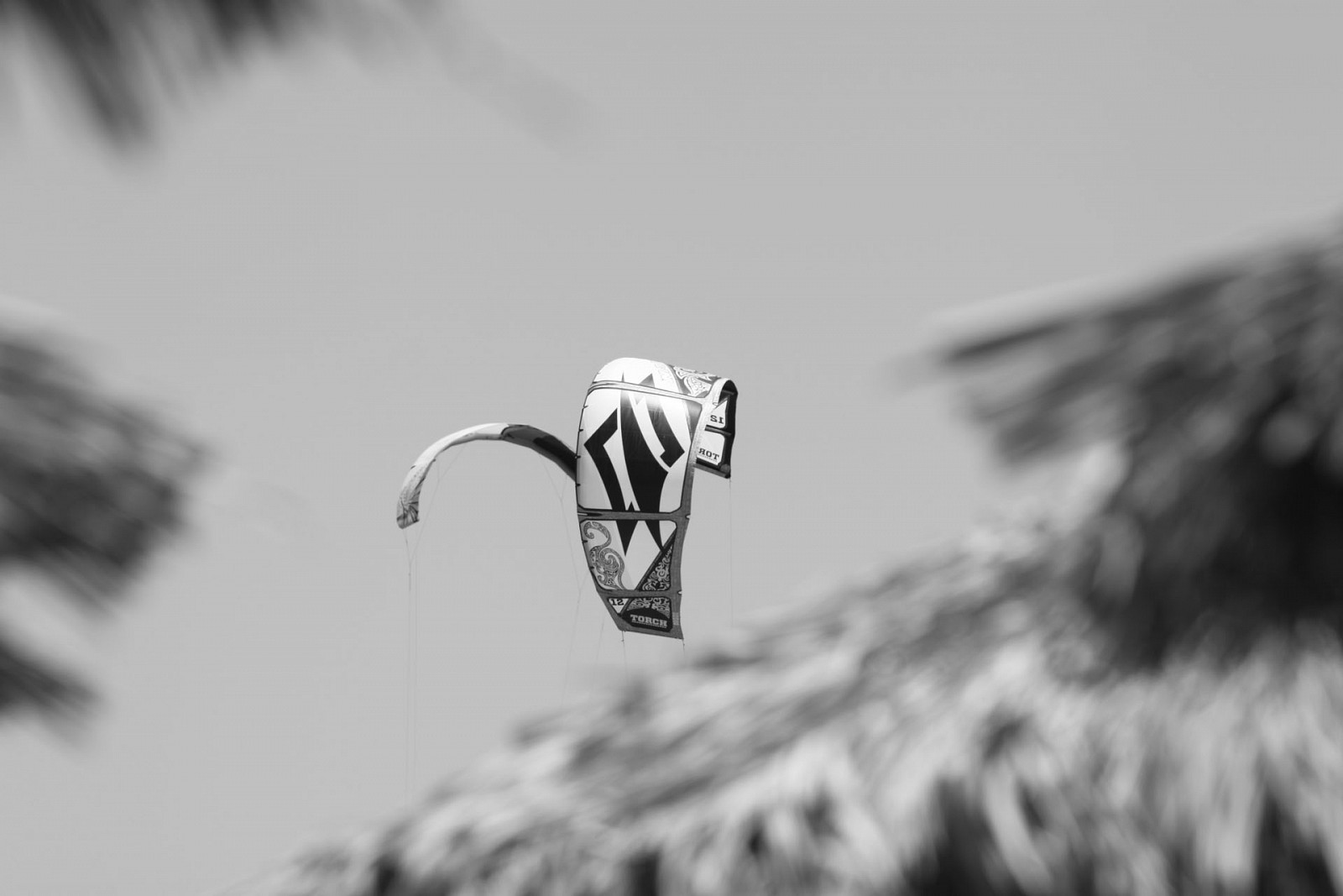 IMG-9843.JPG