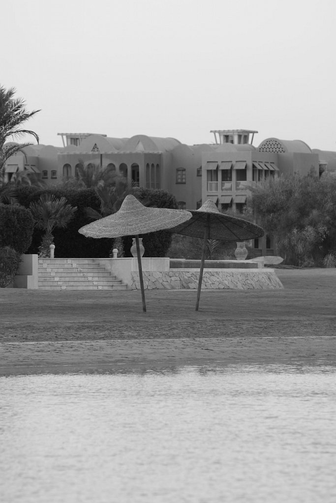 IMG-9855.JPG