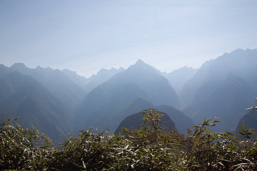 IMG-4318.jpg