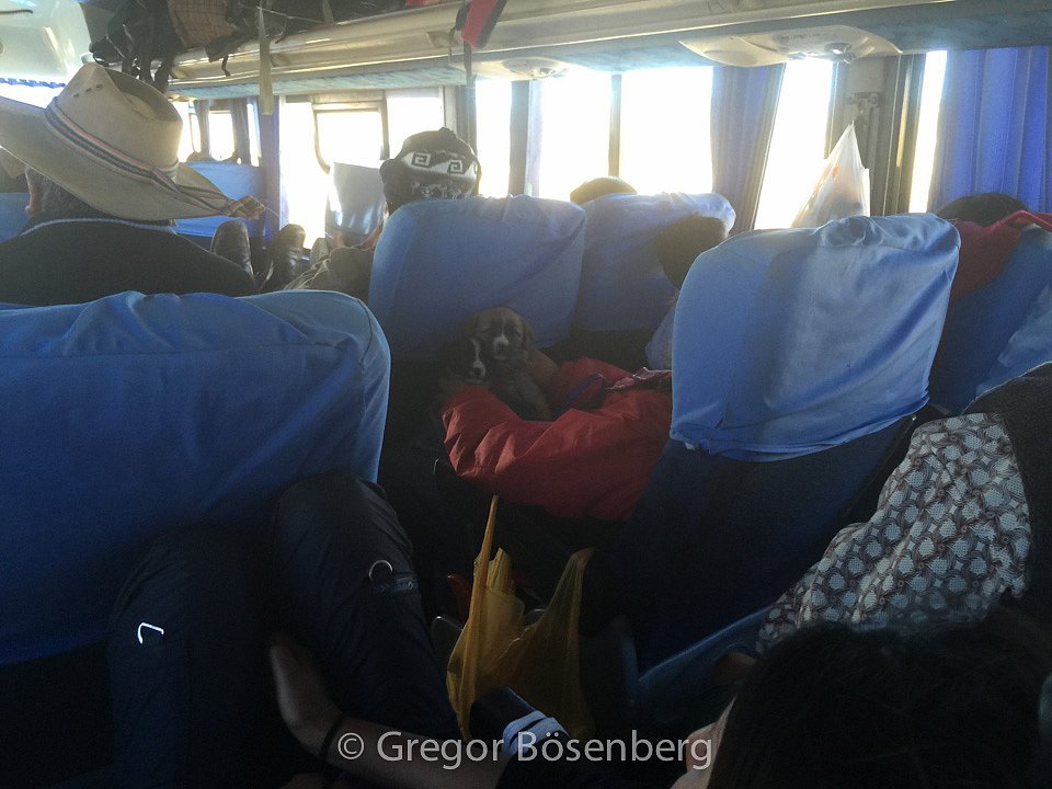 IMG-3102.jpg