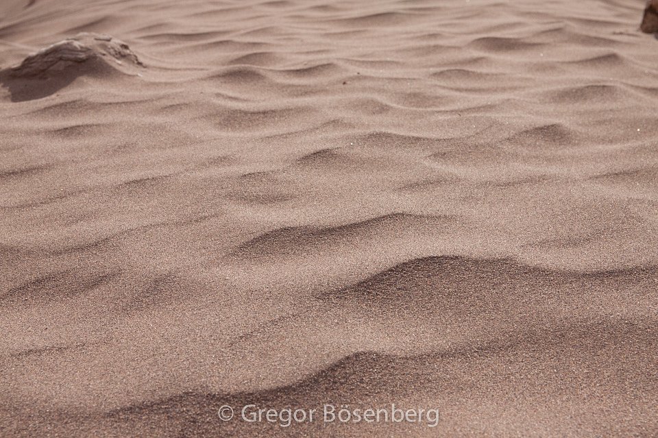 IMG-3163.jpg