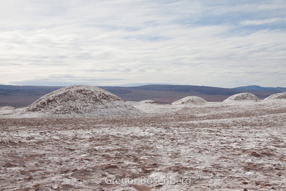 IMG-3179.jpg