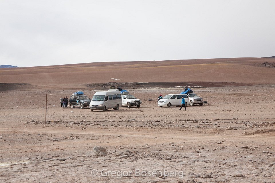 IMG-3380.jpg