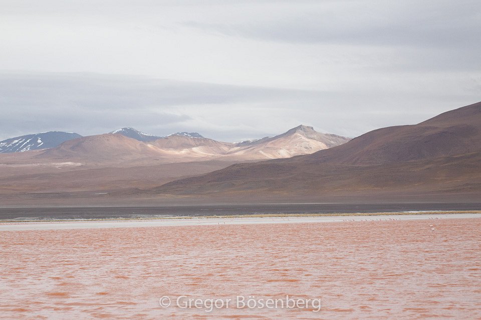 IMG-3572.jpg