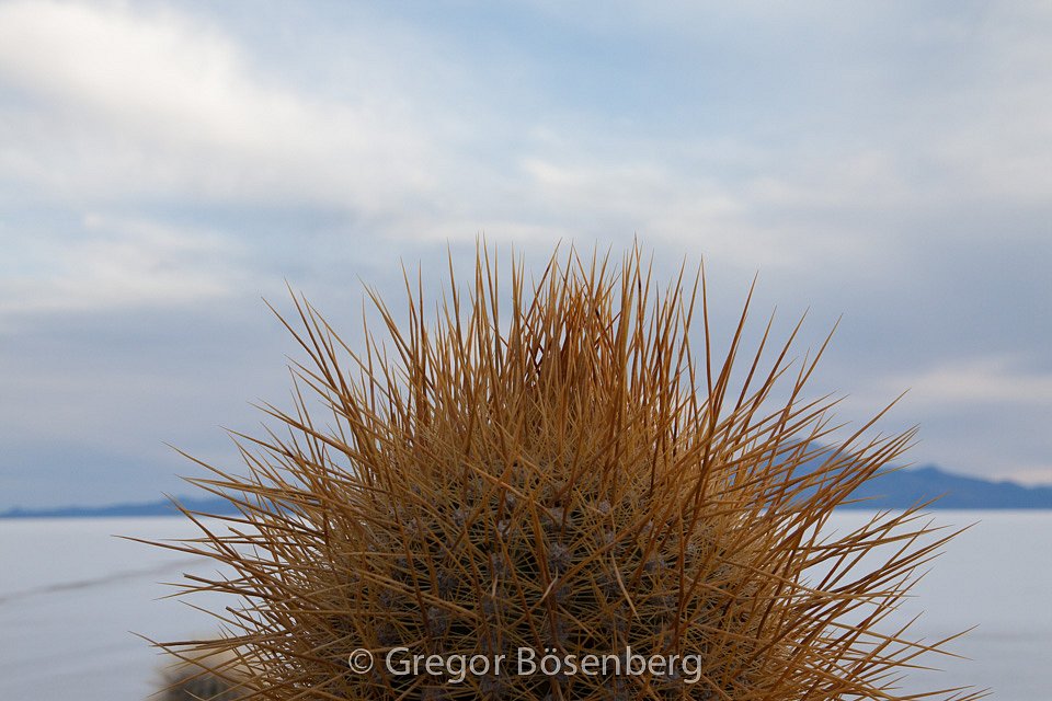 IMG-3824.jpg