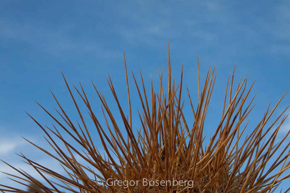 IMG-3845.jpg