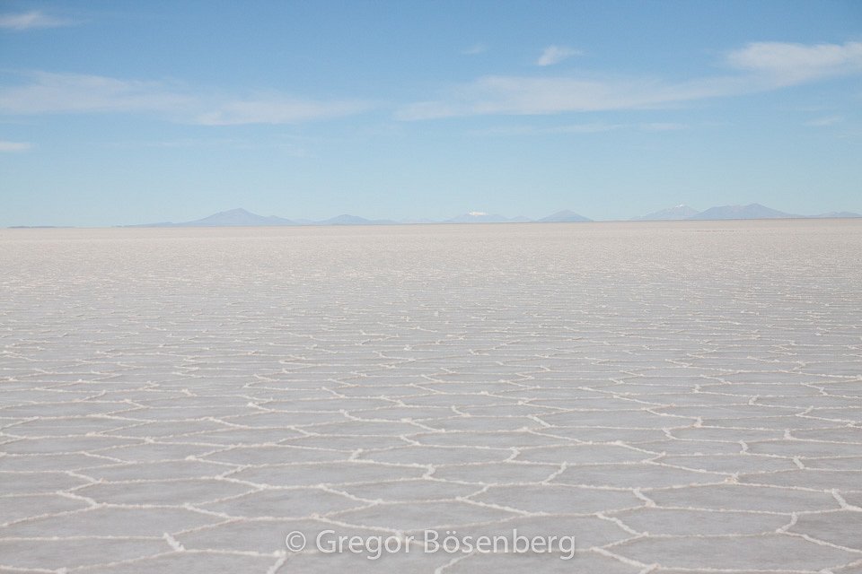 IMG-3884.jpg