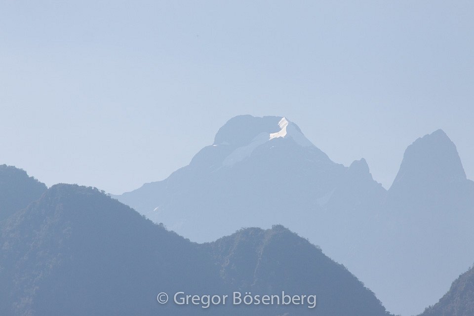 IMG-4313.jpg