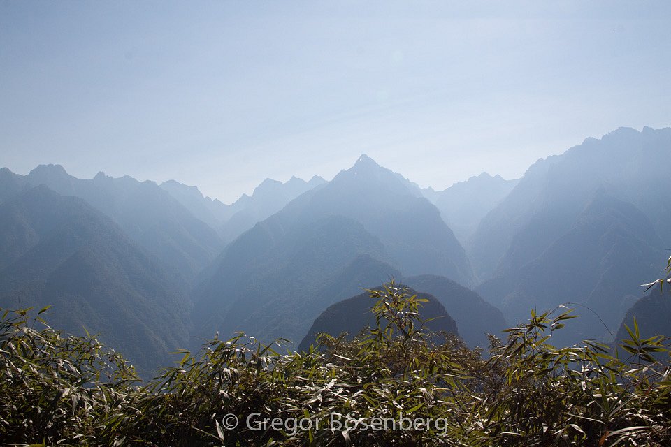 IMG-4318.jpg