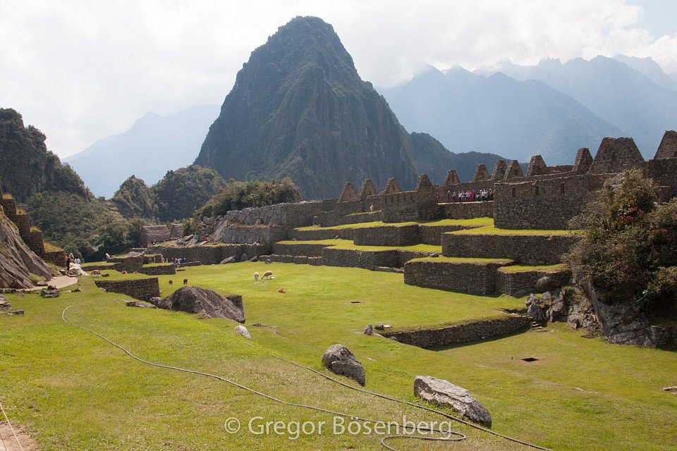 IMG-4395.jpg