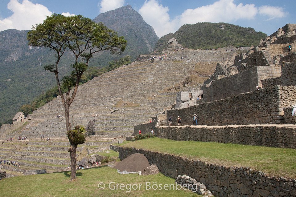 IMG-4423.jpg