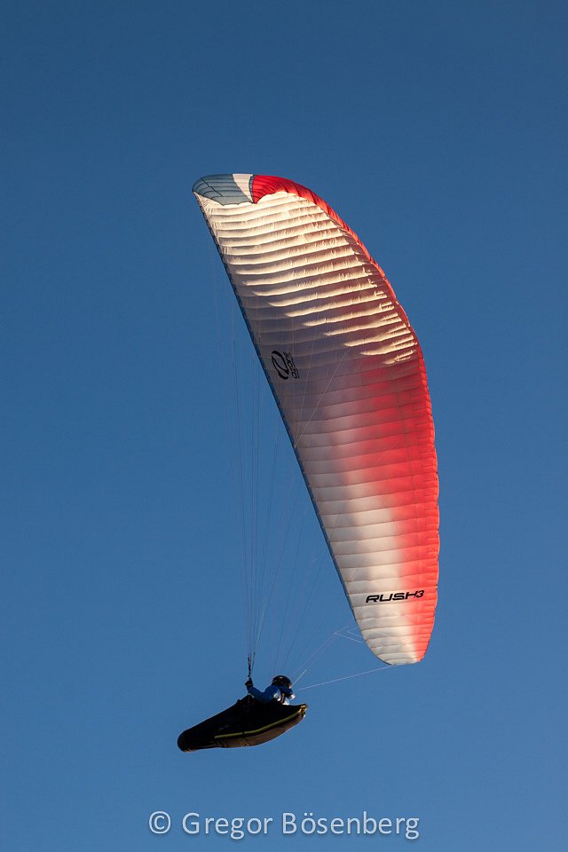 IMG-1568.jpg