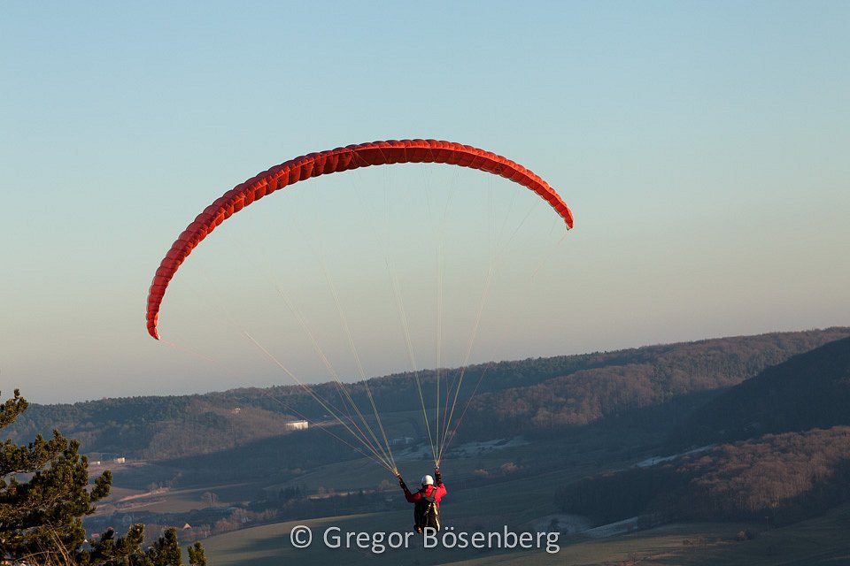 IMG-1595.jpg