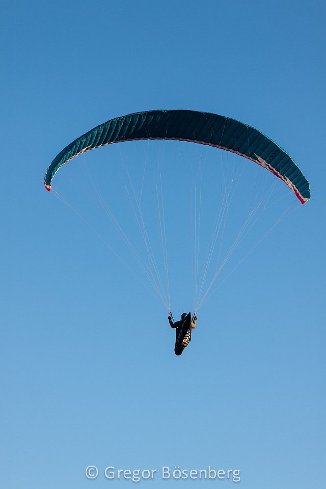 IMG-1614.jpg