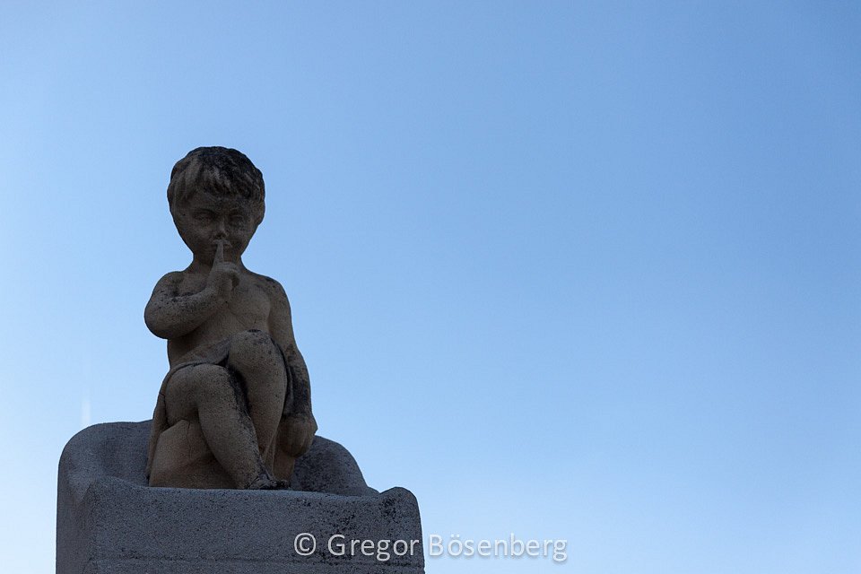 IMG-1000.jpg