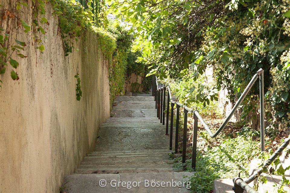 IMG-1036.jpg