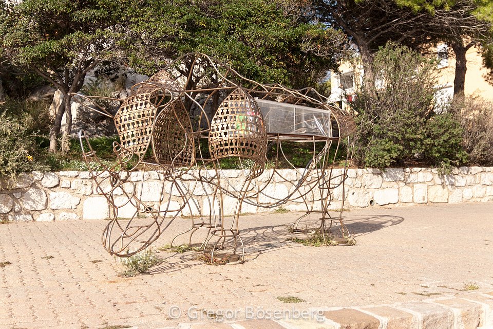 IMG-1303.jpg