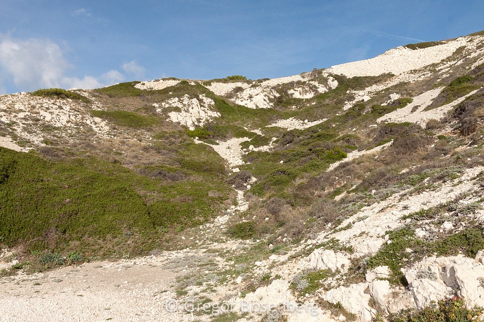 IMG-1309.jpg