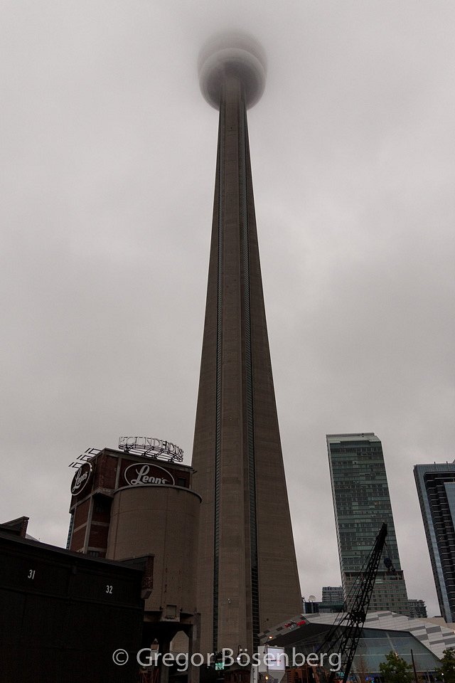 IMG-6076.jpg