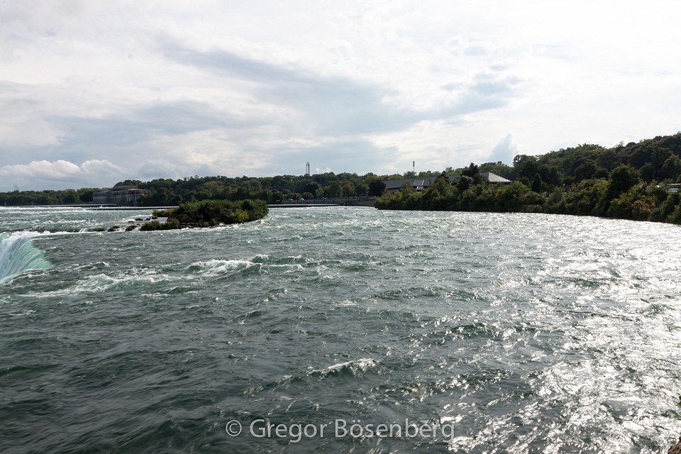 IMG-6129.jpg
