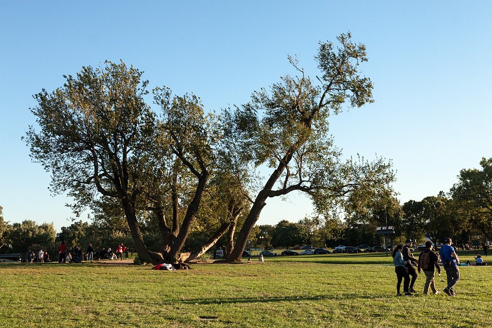IMG-6396.jpg