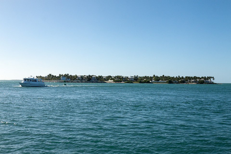 IMG-6720.jpg
