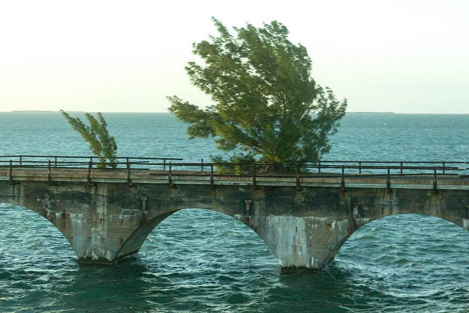 IMG-6738.jpg
