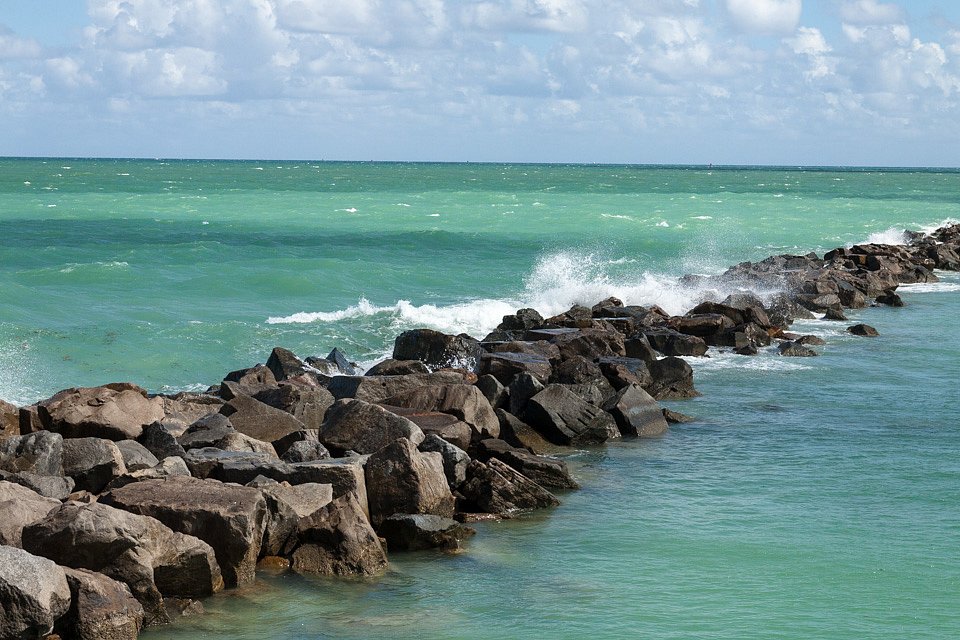IMG-6768.jpg