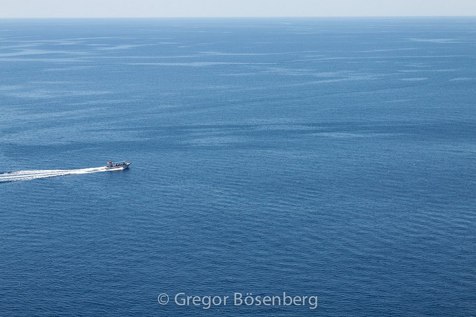 IMG-7499.jpg