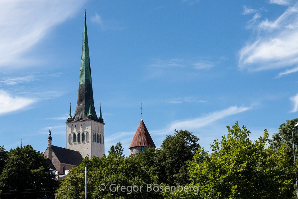IMG-8496.jpg