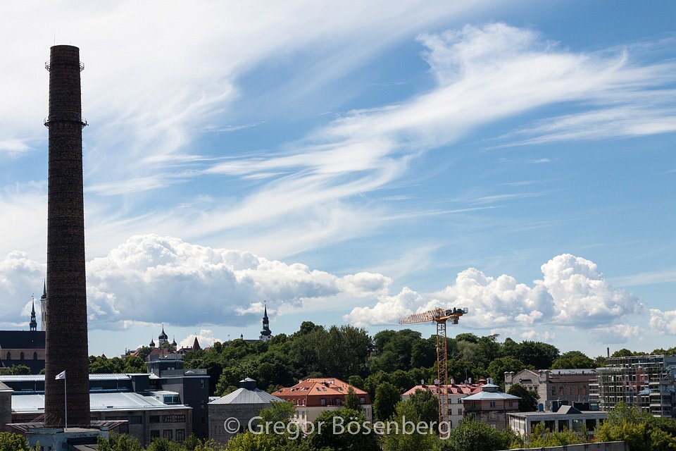 IMG-8502.jpg
