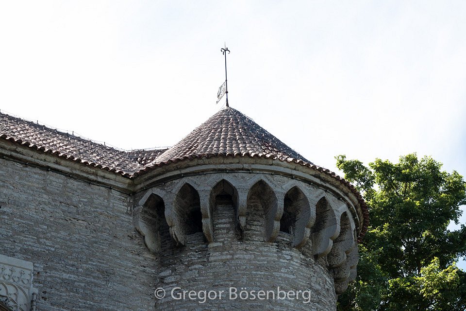 IMG-8504.jpg