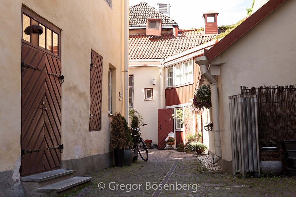 IMG-8506.jpg
