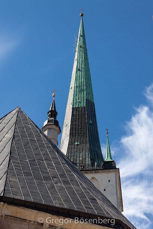 IMG-8507.jpg