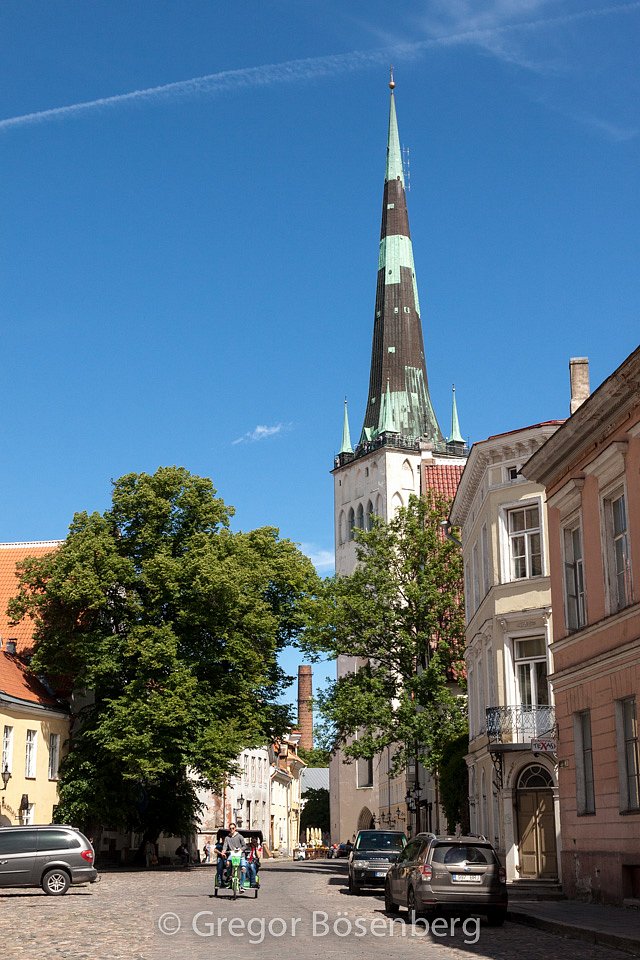 IMG-8511.jpg