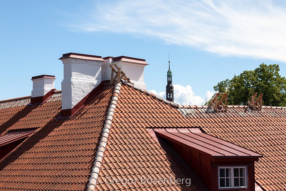 IMG-8532.jpg