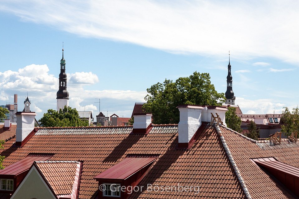 IMG-8535.jpg