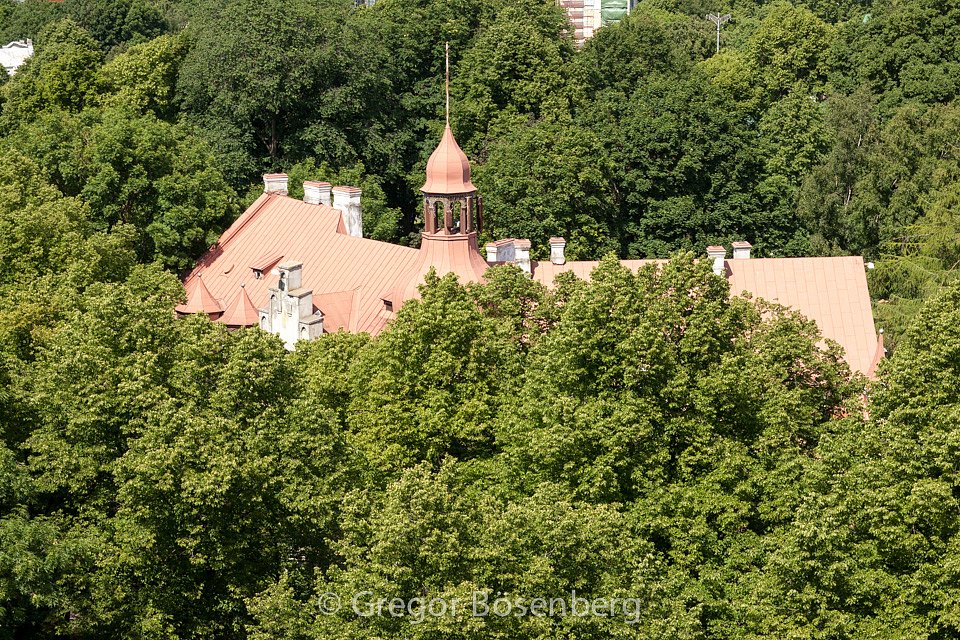 IMG-8543.jpg