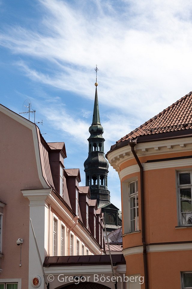 IMG-8547.jpg