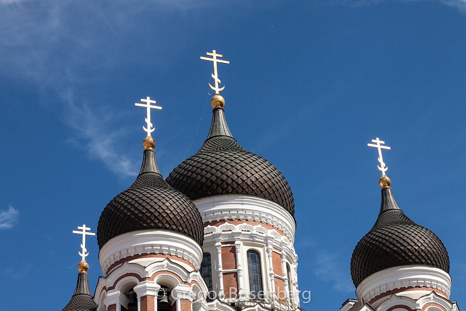 IMG-8574.jpg