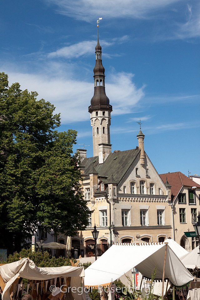 IMG-8650.jpg