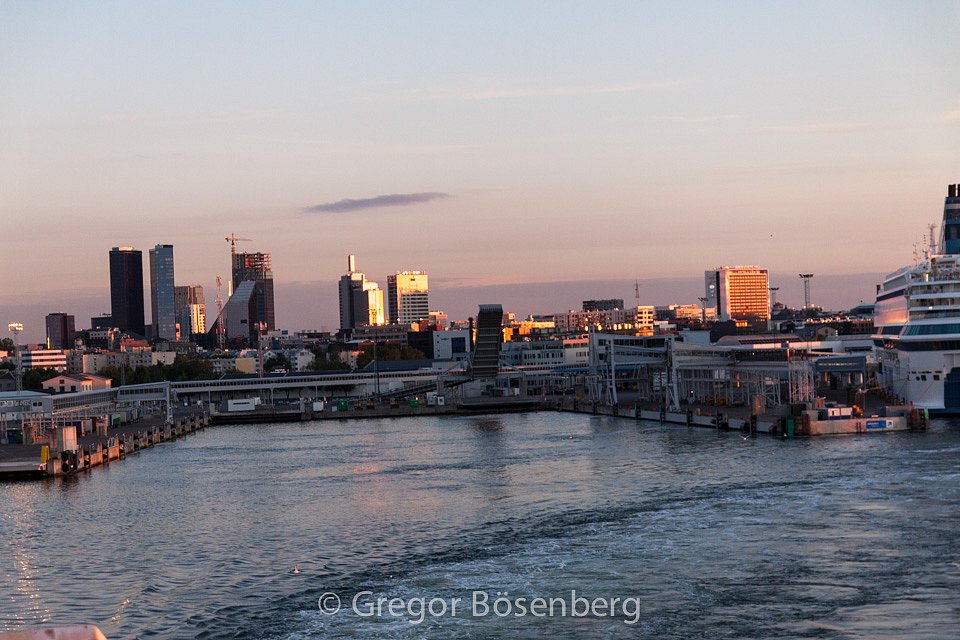 IMG-8717.jpg