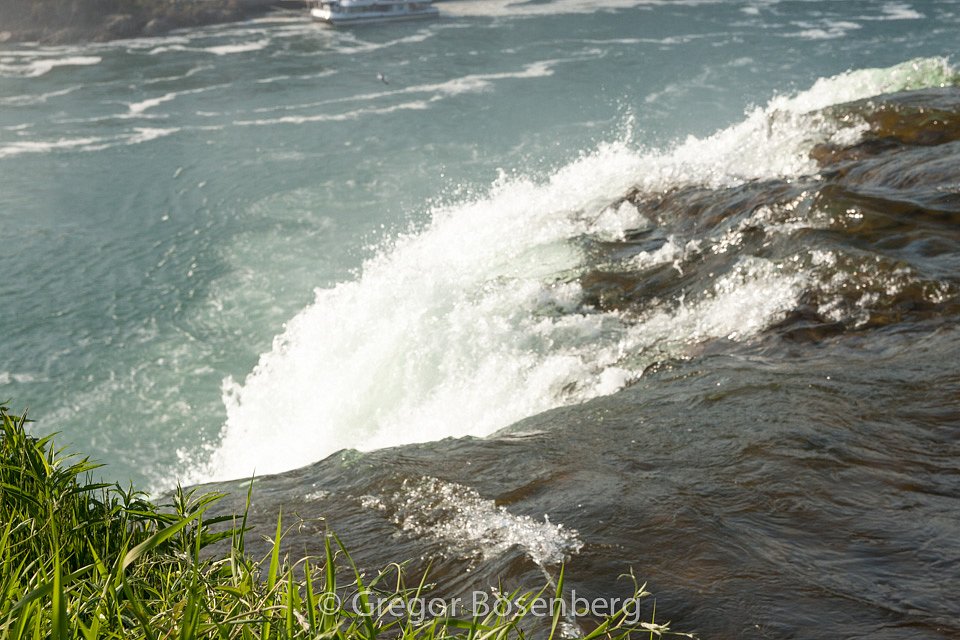 IMG-9540.jpg