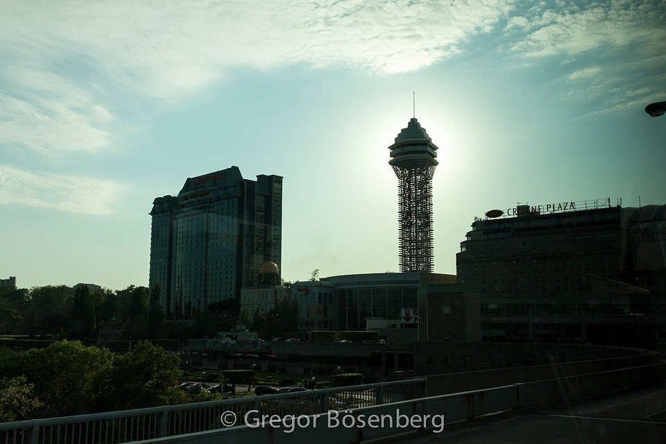 IMG-9551.jpg