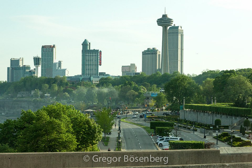 IMG-9553.jpg