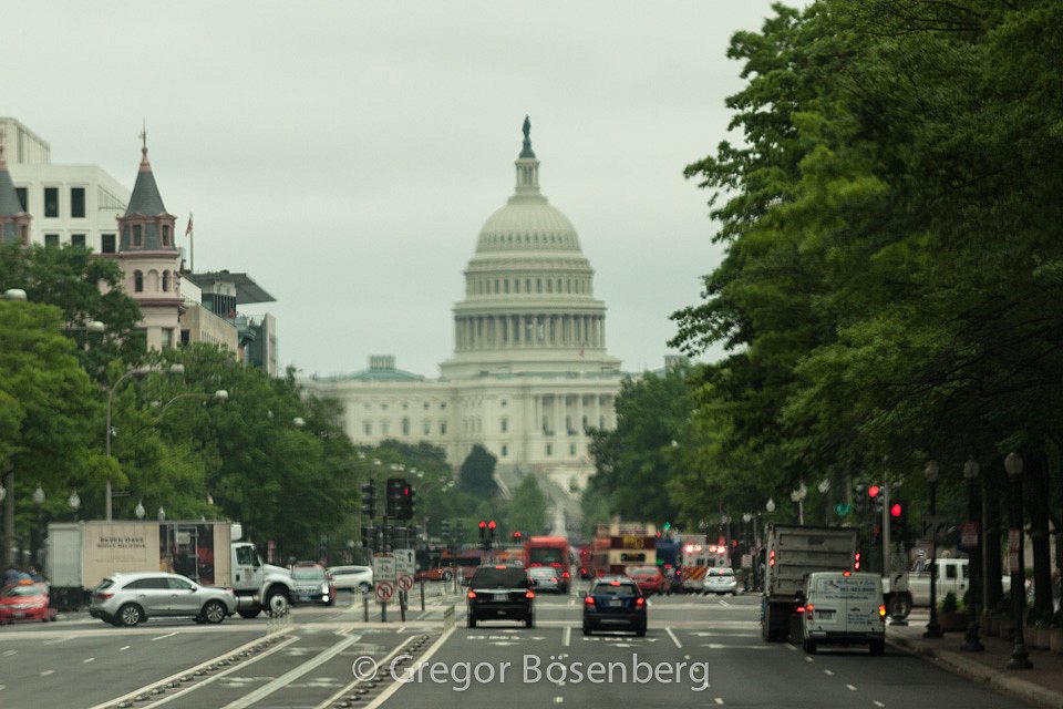 IMG-9728.jpg