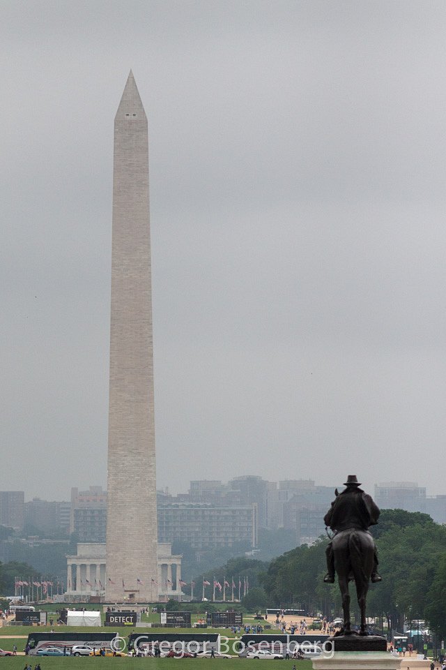 IMG-9736.jpg